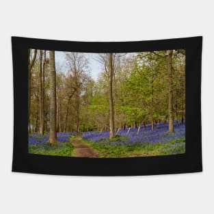 Bluebell Woods Greys Court Oxfordshire UK Tapestry