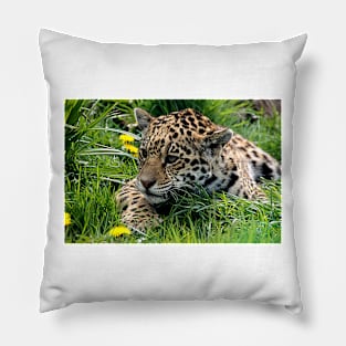 Cub Pillow