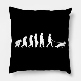 Dog Evolution Pillow