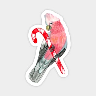 Rose-Breasted Cockatoo Watercolor on Candy Cane Magnet