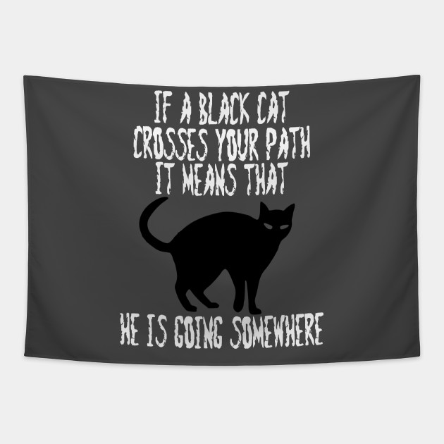 If A Black Cat Crosses Your Path It Means That He Is Going