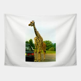 Giraffe Tapestry