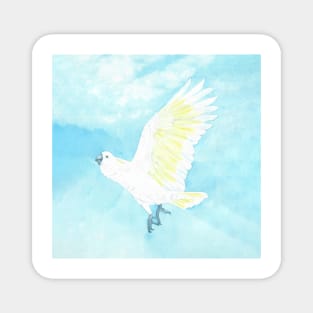 watercolor flying sulphur crested cockatoo Magnet