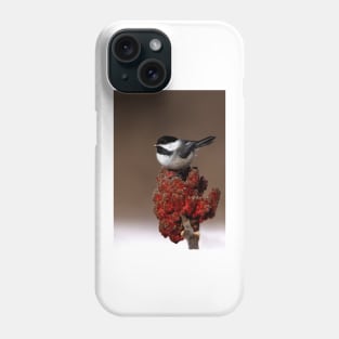 Black-capped Chickadee Phone Case