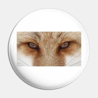 Fox Eyes Pin