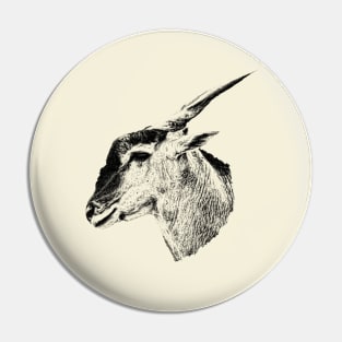 Common eland Pin