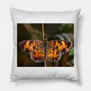 Pearl Crescent Butterfly Pillow