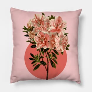 Flower illustration of a pink azalea Pillow