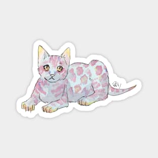 Fairydust Kitten 1 Magnet