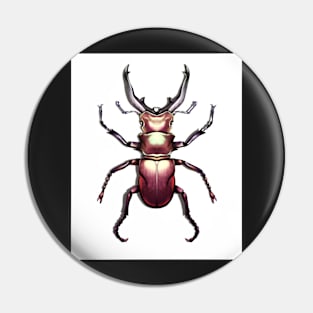 Stag Beetle Illustration Pin