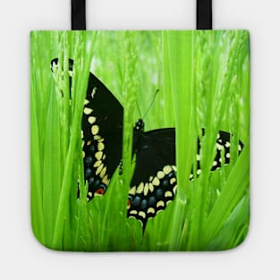 Black Swallowtail Butterfly Tote