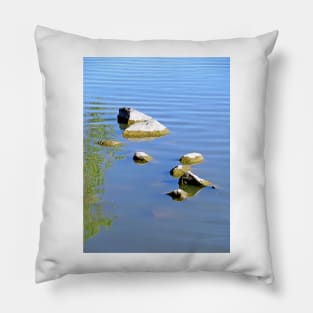 Sloan Lake Study 1 Pillow