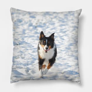 australian shepherd running in snow Pillow