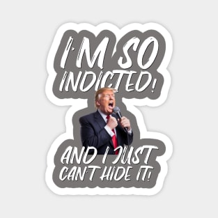 Trump Indictment Magnet