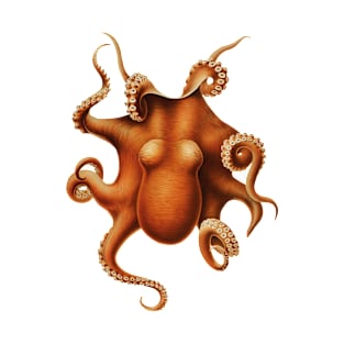 Octopus T-Shirt