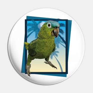 blue-crowned parrot Pin