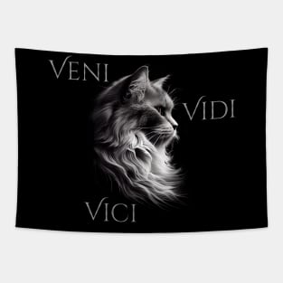 Veni - Vidi - Vici Tapestry