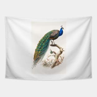 Peafowl Art Print Danial Giraud Elliot 1872 Family Of The Pheasants Tapestry