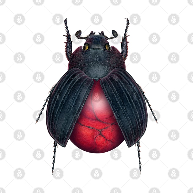 Red Jasper Beetle by illucalliart