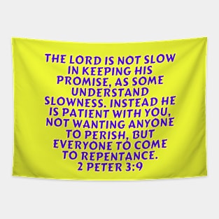 Bible Verse 2 Peter 3:9 Tapestry