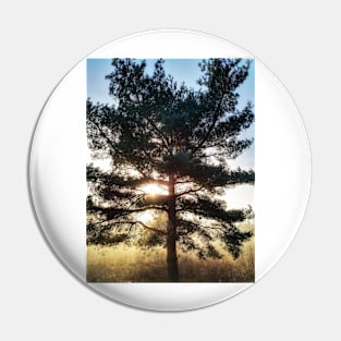 Misty Tree Pin