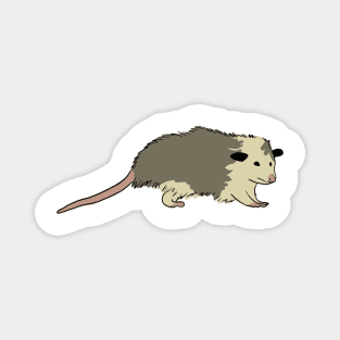 opossum sticker Magnet