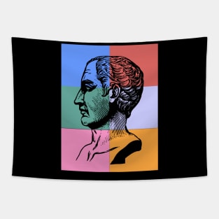 Julius Caesar Fan Art Vintage Tapestry