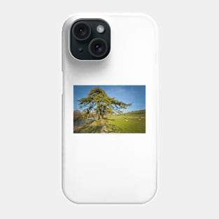 The River Swale Phone Case