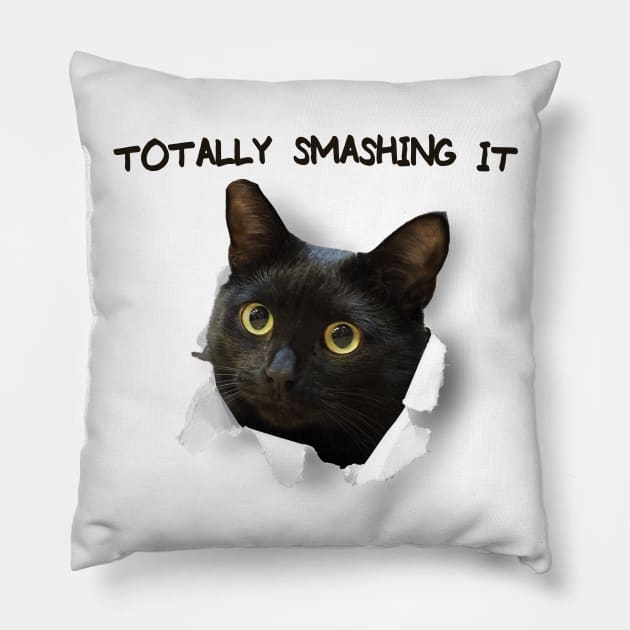 Totally smashing it Pillow by PaletteDesigns