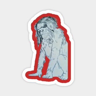 The weeping monkey Magnet