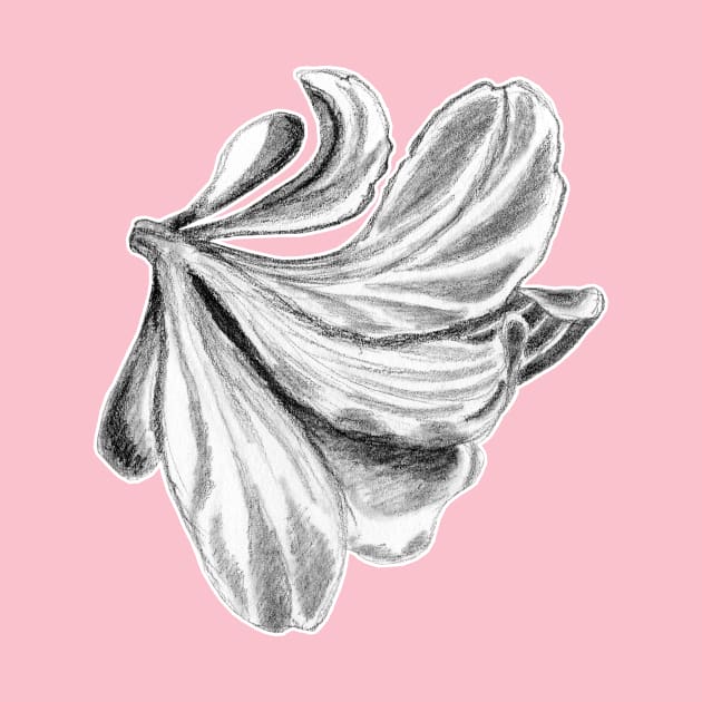 Amaryllis Flower Christmas Pencil Drawing Pattern by IvyLilyArt