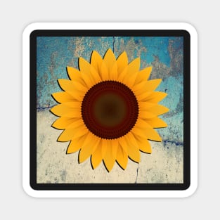 Sunflower on Teal & Cream Distressed Background Home Decor Gifts Magnet