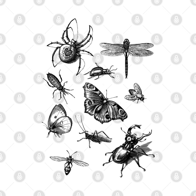 Dramabite Vintage retro scientific bugs insect collection entomologist by dramabite