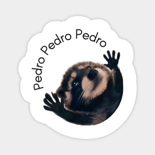 Pedro Raccoon Meme Magnet