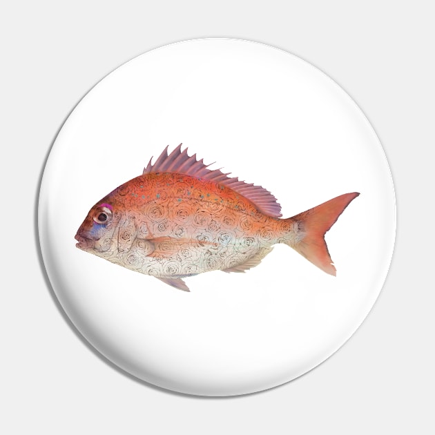 rose-colored sea bream Pin by sabada