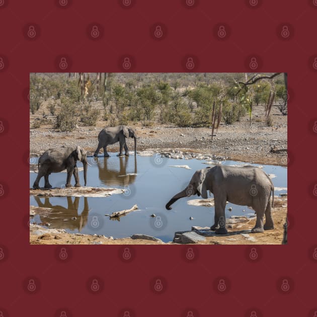 Namibia. Etosha National Park. Elephants at Waterhole. by vadim19