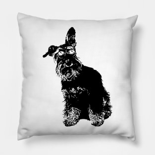 Dog, Animals, Pet, Sunglasses, Adorable, Dog Fashion, Funny, Cute, Schnauzer, Canine, Mammal Pillow