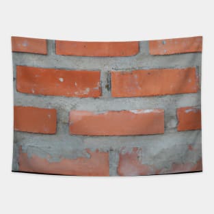 Brick Wall Tapestry