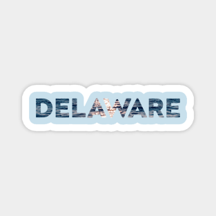 Delaware Waves Magnet