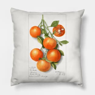 Oranges (Calamondian) (1919) Pillow