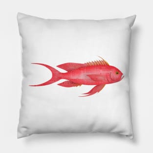 Red Grunt Pillow