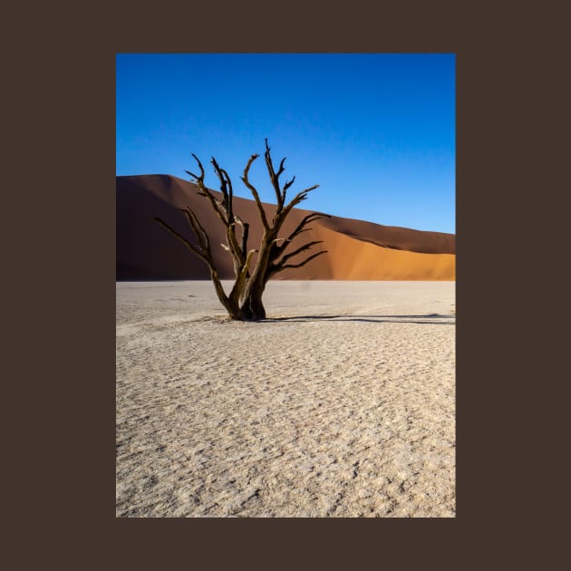 Tree on the salt pan. by sma1050