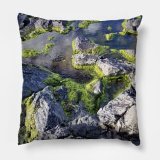 Tide Pools Pillow