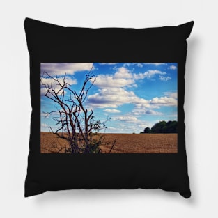 Distant Dreams Pillow