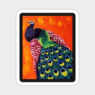 Look At Me - Peacock with Orange Background Magnet