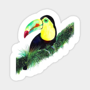 Colorful Toucan Watercolor Illustration perched on a Green Tree Branch Magnet