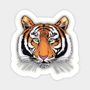 tiger Magnet