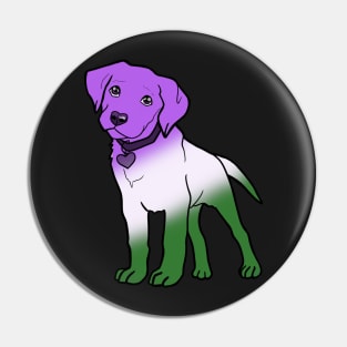 Labrador - Genderqueer Pride! Pin