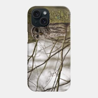 Barred Owl - Presqu'ile Park Phone Case