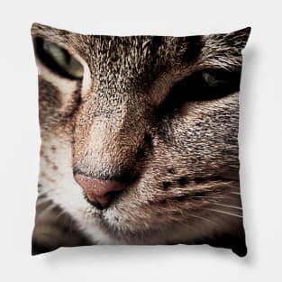 Cat on the Bed Pillow